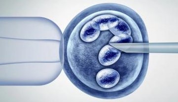 洛阳做三代试管婴儿费用是多少？附成功率一览！