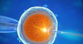 2026天津第三代试管选男孩成功率高吗要花多少钱？