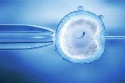 2026年湖州市妇幼保健院做试管婴儿价格多少？